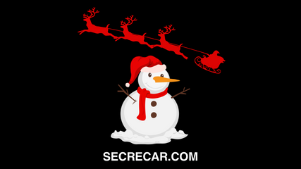 Secrecar ®